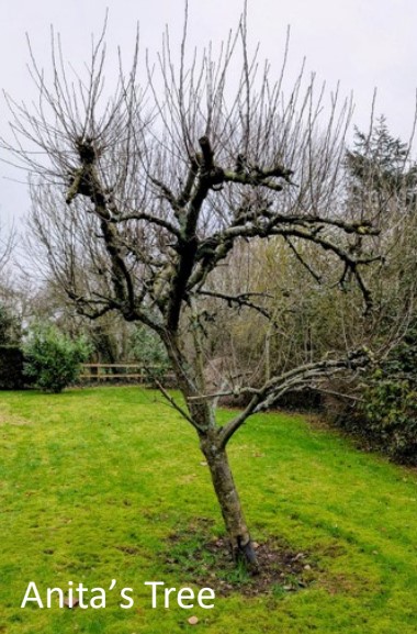 Photography Group - March 2026